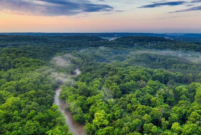 Estados da Amazônia Legal terão plano de segurança interinstitucional