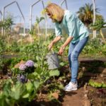 Como fazer uma horta em casa: guia completo para iniciantes