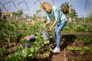 Como fazer uma horta em casa: guia completo para iniciantes