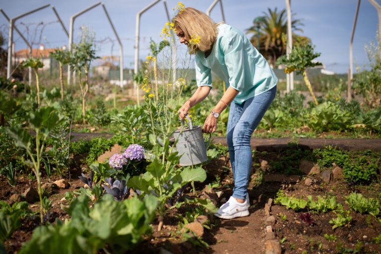 Como fazer uma horta em casa: guia completo para iniciantes